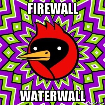 firewall waterwall, Мем Омская птица