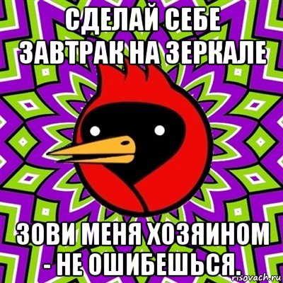 сделай себе завтрак на зеркале зови меня хозяином - не ошибешься., Мем Омская птица