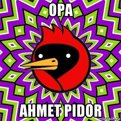 opa ahmet pidor, Мем Омская птица