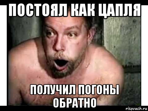 постоял как цапля получил погоны обратно