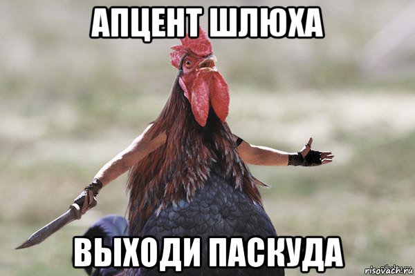 апцент шлюха выходи паскуда, Мем Петух