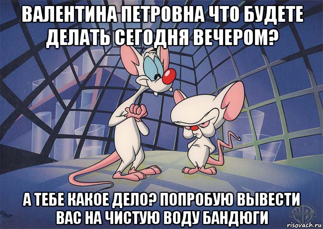 валентина петровна что будете делать сегодня вечером? а тебе какое дело? попробую вывести вас на чистую воду бандюги, Мем ПИНКИ И БРЕЙН