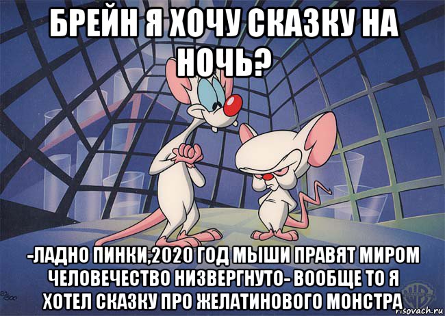 брейн я хочу сказку на ночь? -ладно пинки,2020 год мыши правят миром человечество низвергнуто- вообще то я хотел сказку про желатинового монстра, Мем ПИНКИ И БРЕЙН