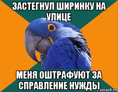 застегнул ширинку на улице меня оштрафуют за справление нужды, Мем Попугай параноик