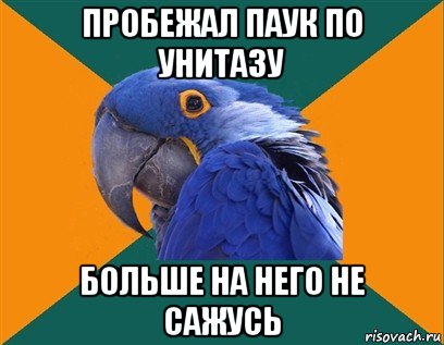 пробежал паук по унитазу больше на него не сажусь, Мем Попугай параноик