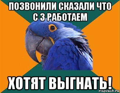 позвонили сказали что с 3 работаем хотят выгнать!, Мем Попугай параноик