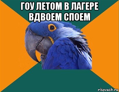 гоу летом в лагере вдвоем споем , Мем Попугай параноик