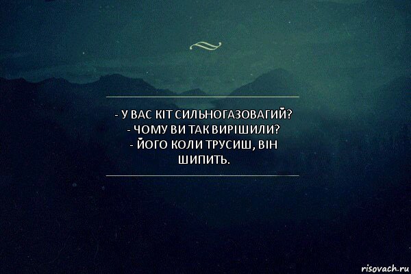 - У Вас кіт сильногазовагий?
- Чому ви так вирішили?
- Його коли трусиш, він шипить., Комикс Игра слов 4