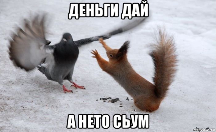 деньги дай а нето сьум