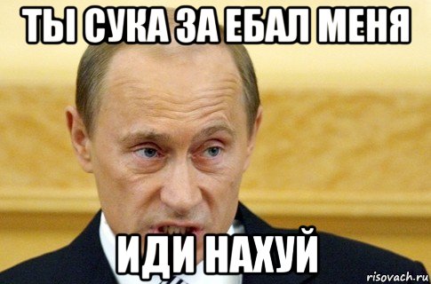 ты сука за ебал меня иди нахуй, Мем путин