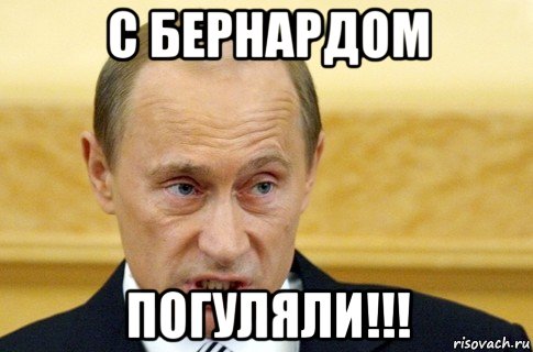 с бернардом погуляли!!!, Мем путин