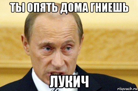 ты опять дома гниешь лукич, Мем путин