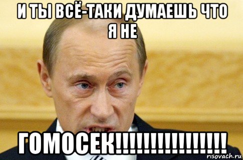 и ты всё-таки думаешь что я не гомосек!!!!!!!!!!!!!!!!, Мем путин