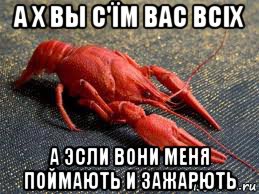 а х вы с'їм вас всіх а эсли вони меня поймають и зажарють