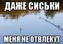 даже сиськи меня не отвлекут