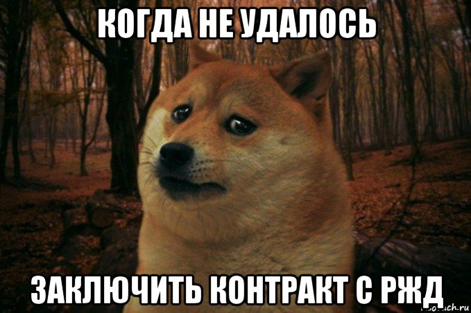 когда не удалось заключить контракт с ржд, Мем SAD DOGE