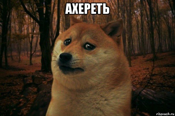 ахереть , Мем SAD DOGE