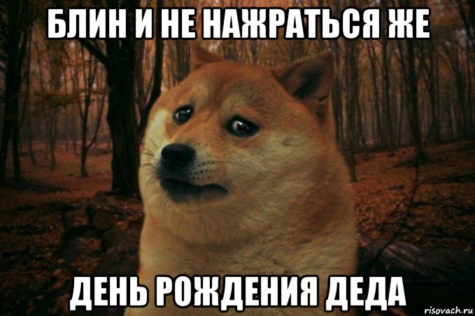 блин и не нажраться же день рождения деда, Мем SAD DOGE