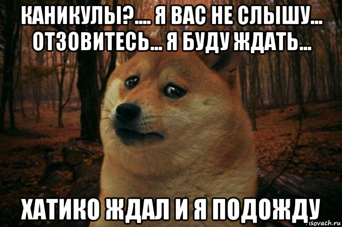 каникулы?.... я вас не слышу... отзовитесь... я буду ждать... хатико ждал и я подожду, Мем SAD DOGE