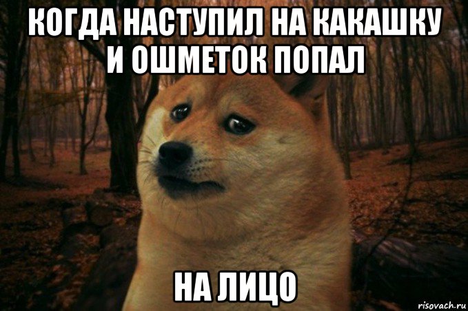 когда наступил на какашку и ошметок попал на лицо, Мем SAD DOGE