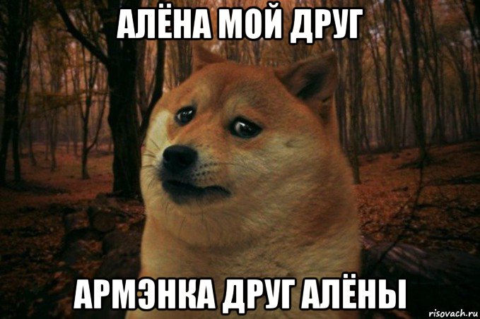 алёна мой друг армэнка друг алёны, Мем SAD DOGE