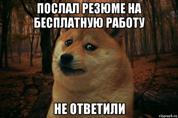 послал резюме на бесплатную работу не ответили, Мем SAD DOGE