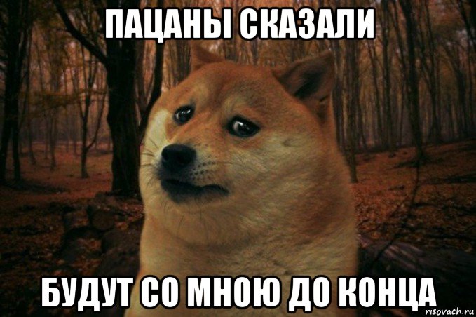 пацаны сказали будут со мною до конца, Мем SAD DOGE