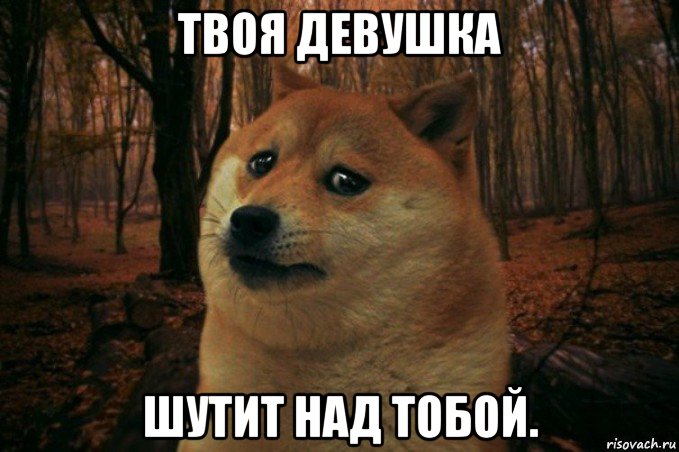 твоя девушка шутит над тобой., Мем SAD DOGE