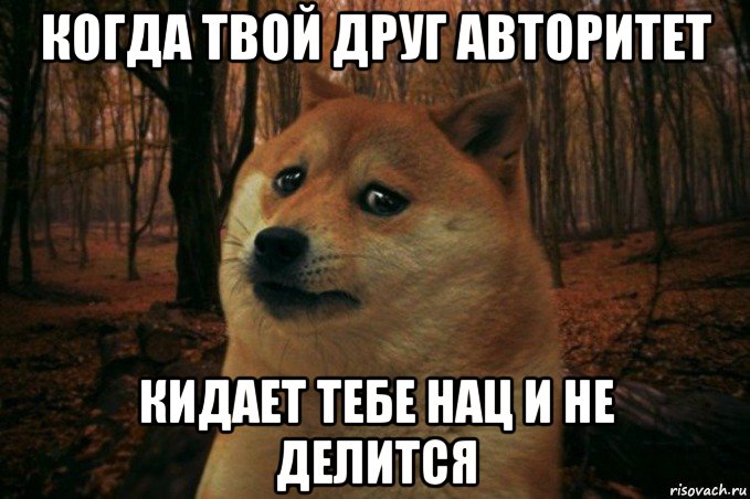 когда твой друг авторитет кидает тебе нац и не делится, Мем SAD DOGE