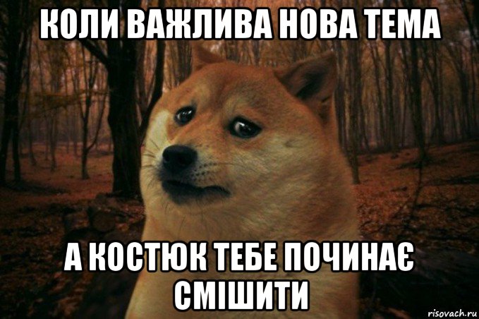 коли важлива нова тема а костюк тебе починає смішити, Мем SAD DOGE