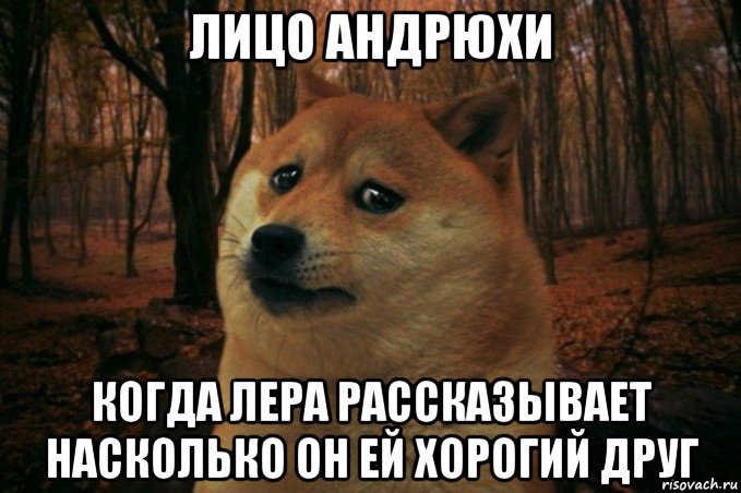 лицо андрюхи когда лера рассказывает насколько он ей хорогий друг, Мем SAD DOGE