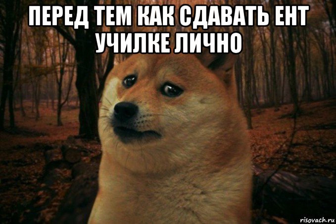 перед тем как сдавать ент училке лично , Мем SAD DOGE