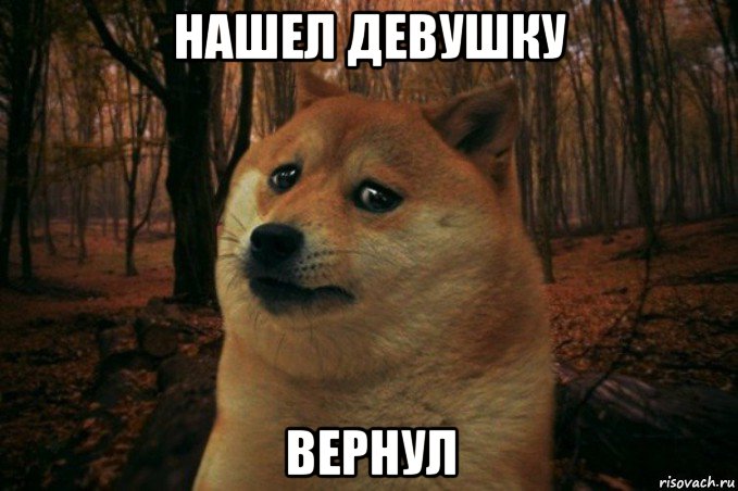 нашел девушку вернул, Мем SAD DOGE