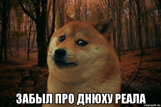  забыл про днюху реала, Мем SAD DOGE