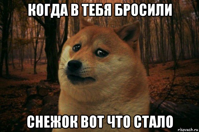 когда в тебя бросили снежок вот что стало, Мем SAD DOGE