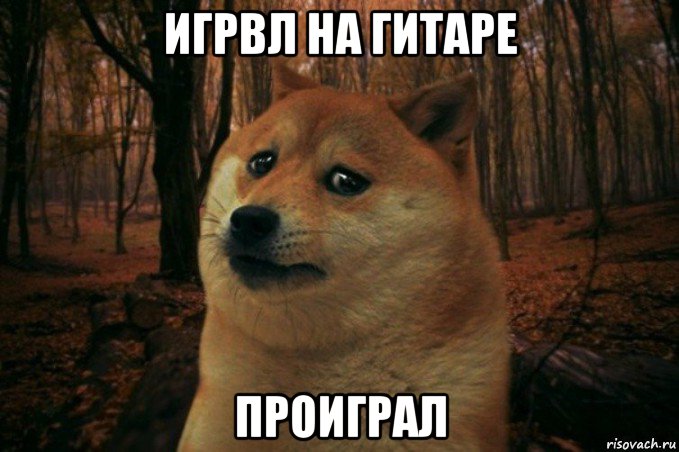 игрвл на гитаре проиграл, Мем SAD DOGE