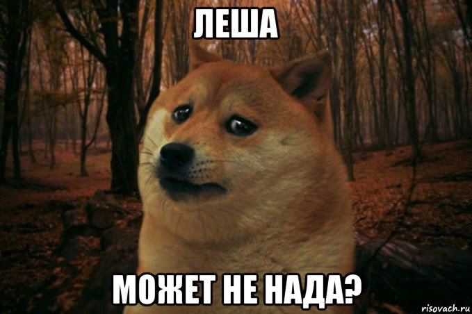 леша может не нада?, Мем SAD DOGE