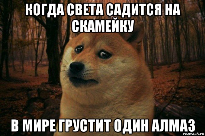 когда света садится на скамейку в мире грустит один алмаз, Мем SAD DOGE