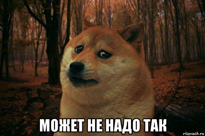  может не надо так, Мем SAD DOGE