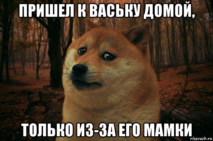 пришел к ваську домой, только из-за его мамки, Мем SAD DOGE