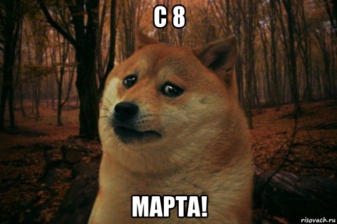 c 8 марта!, Мем SAD DOGE