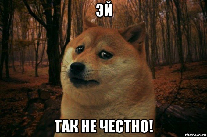 эй так не честно!, Мем SAD DOGE