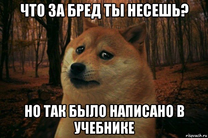 что за бред ты несешь? но так было написано в учебнике, Мем SAD DOGE