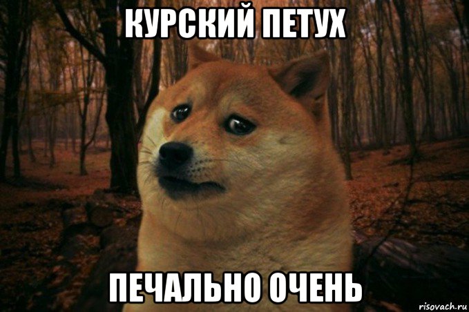 курский петух печально очень, Мем SAD DOGE