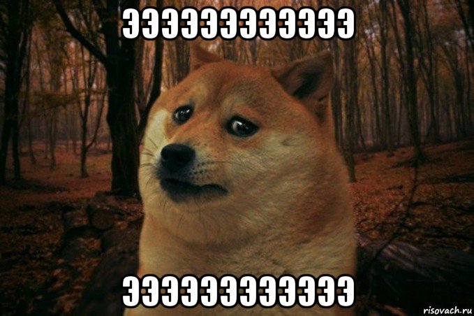 ээээээээээээ ээээээээээээ, Мем SAD DOGE