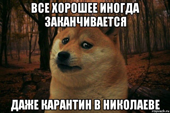 все хорошее иногда заканчивается даже карантин в николаеве, Мем SAD DOGE