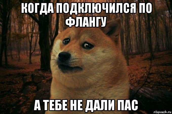 когда подключился по флангу а тебе не дали пас, Мем SAD DOGE