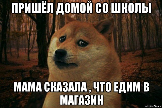 пришёл домой со школы мама сказала , что едим в магазин, Мем SAD DOGE