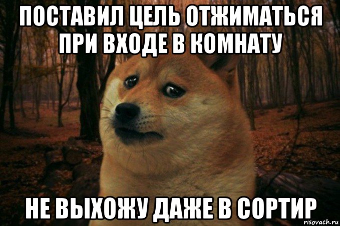 поставил цель отжиматься при входе в комнату не выхожу даже в сортир, Мем SAD DOGE