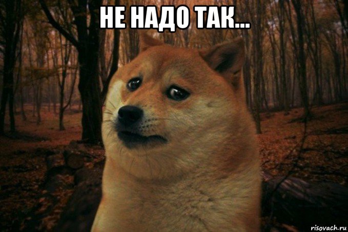 не надо так... , Мем SAD DOGE